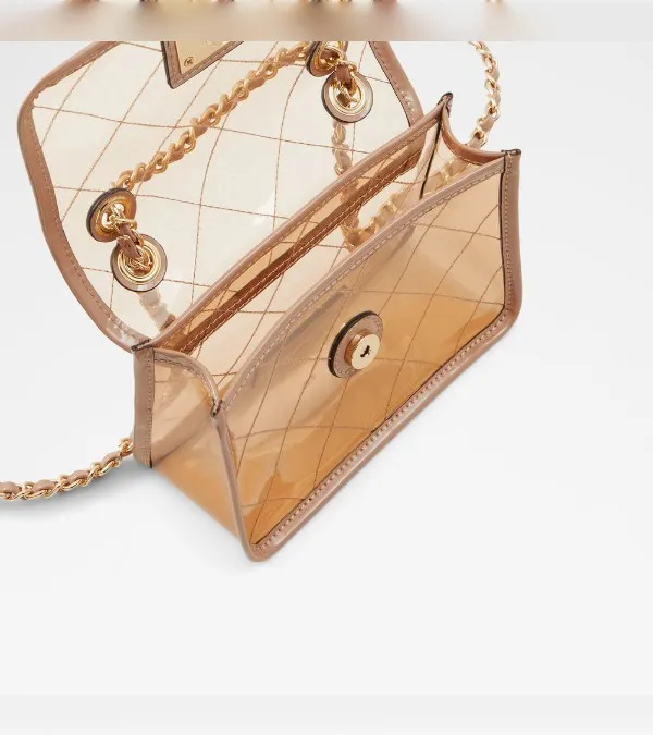 Aldo transparent bag sale